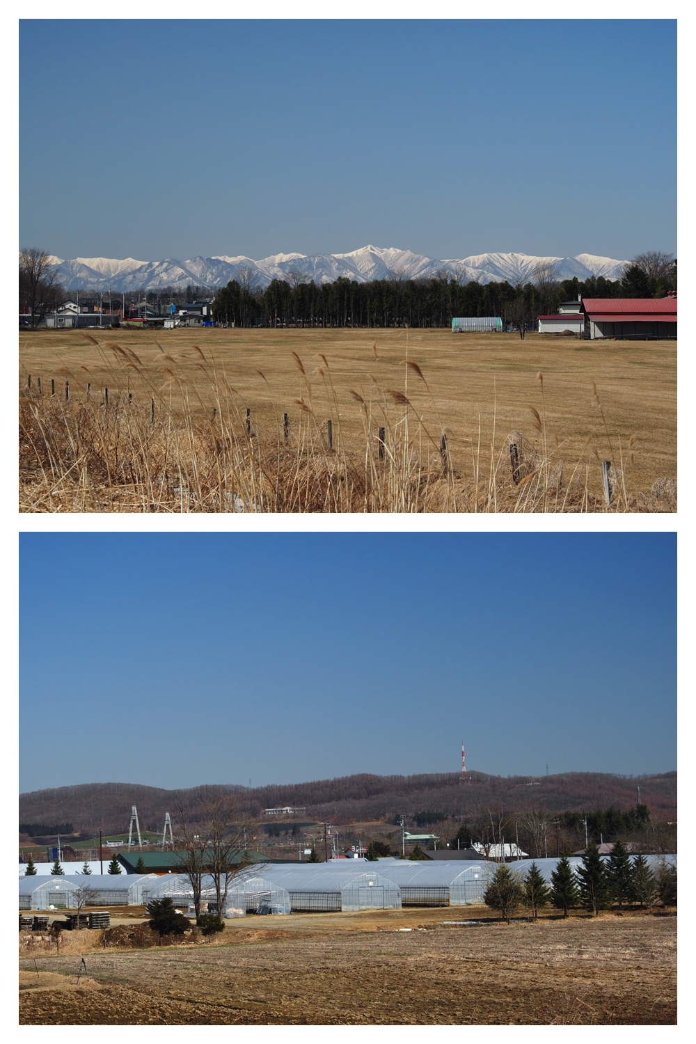 Tokachigaoka_230403_8