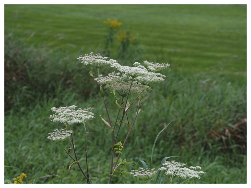 2023-08-30_Walk_10