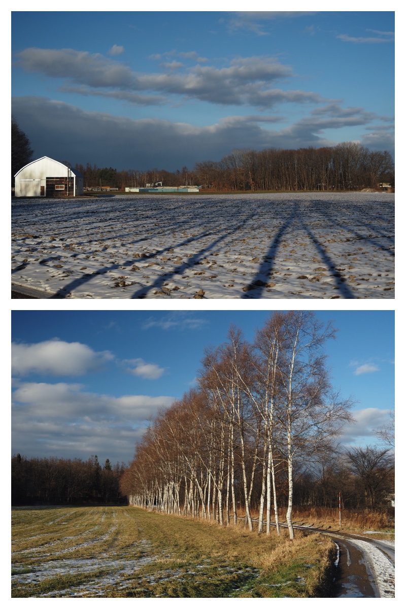 231203_Snow-walk_11