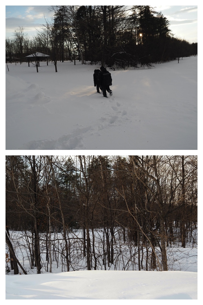 Heavy_snow_230220_15