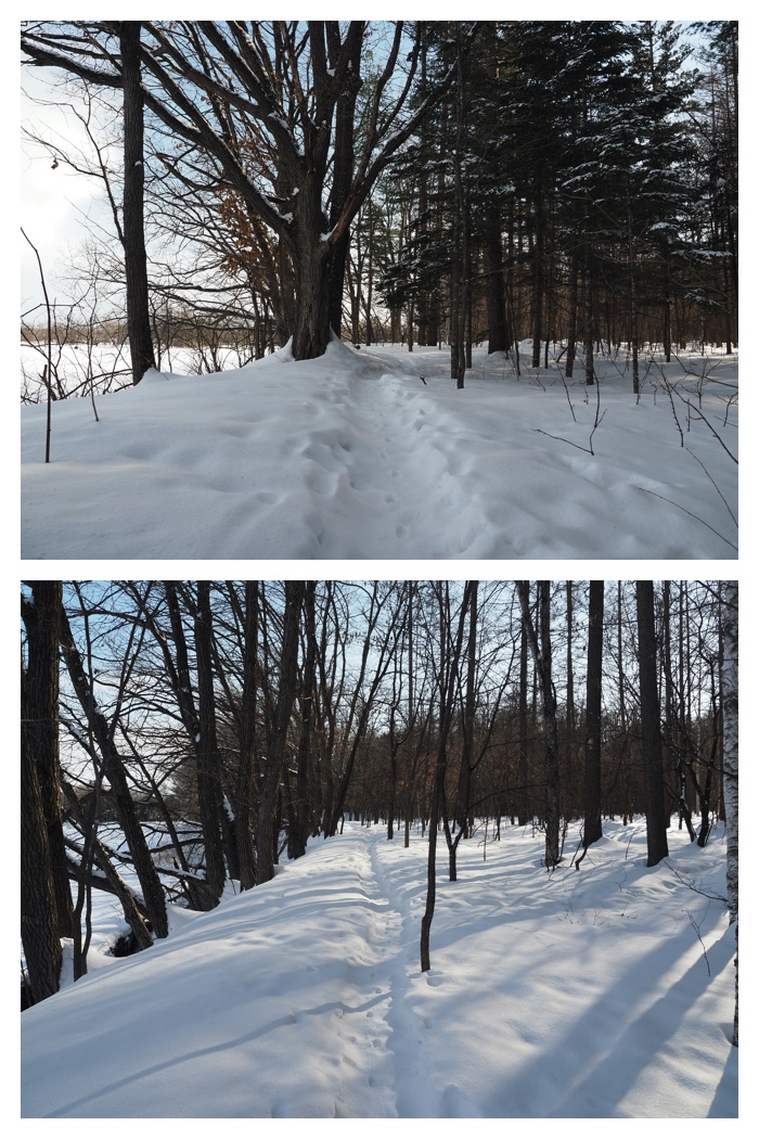Snow_walk_230225_9
