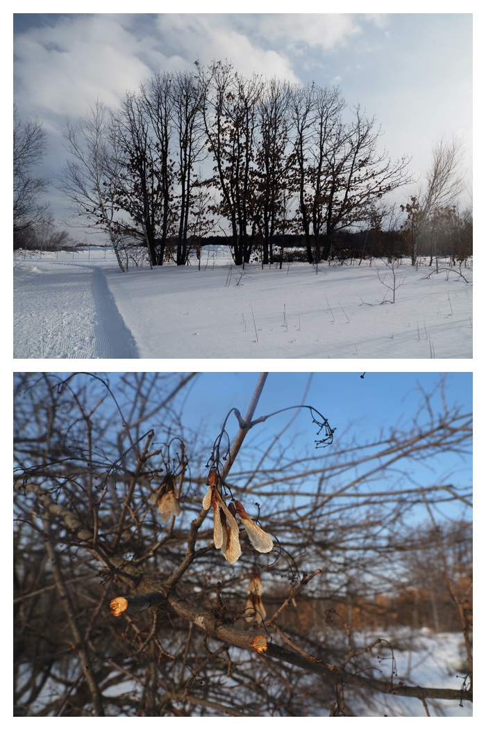 hagukumu_230223_14