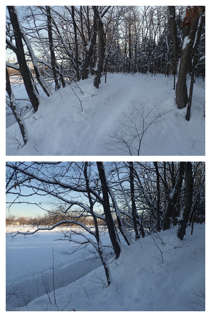 Snow_walk_230116_21