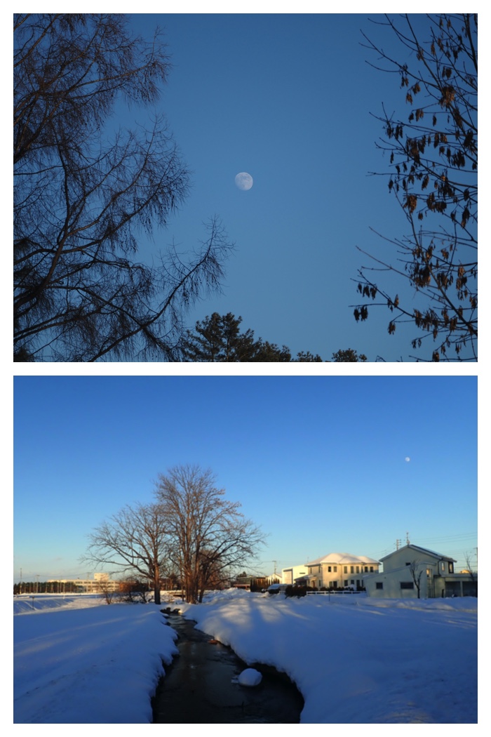 Walk_230104_3