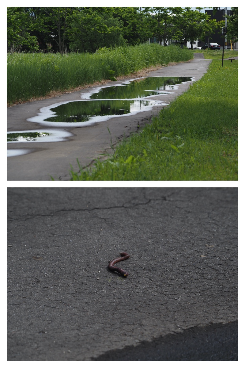 After-the-rain_230603_2