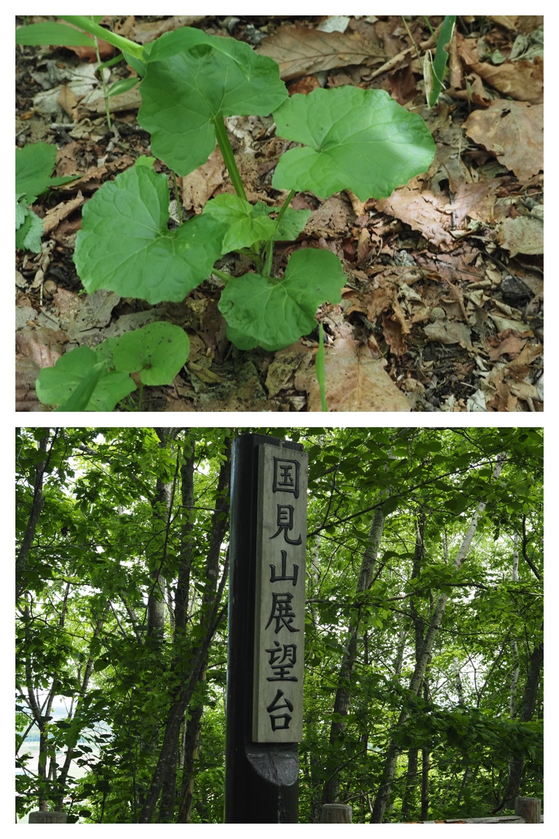 Kunimiyama_230606_12
