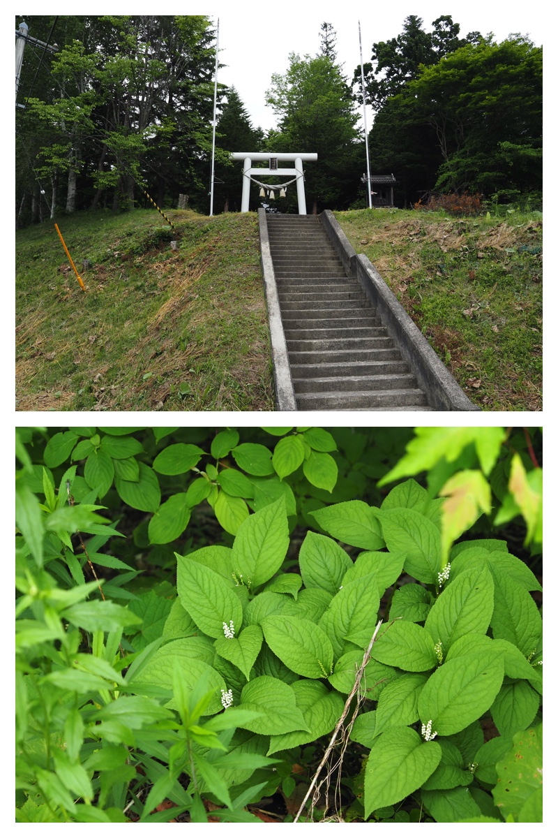 Tokachi-Hills_230613_1