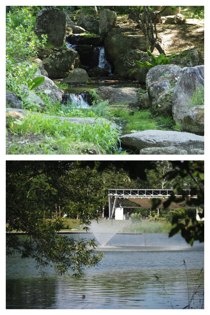 Yasouen_230620_17