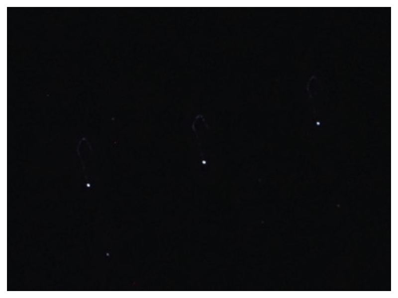 2023-03-06_Orion