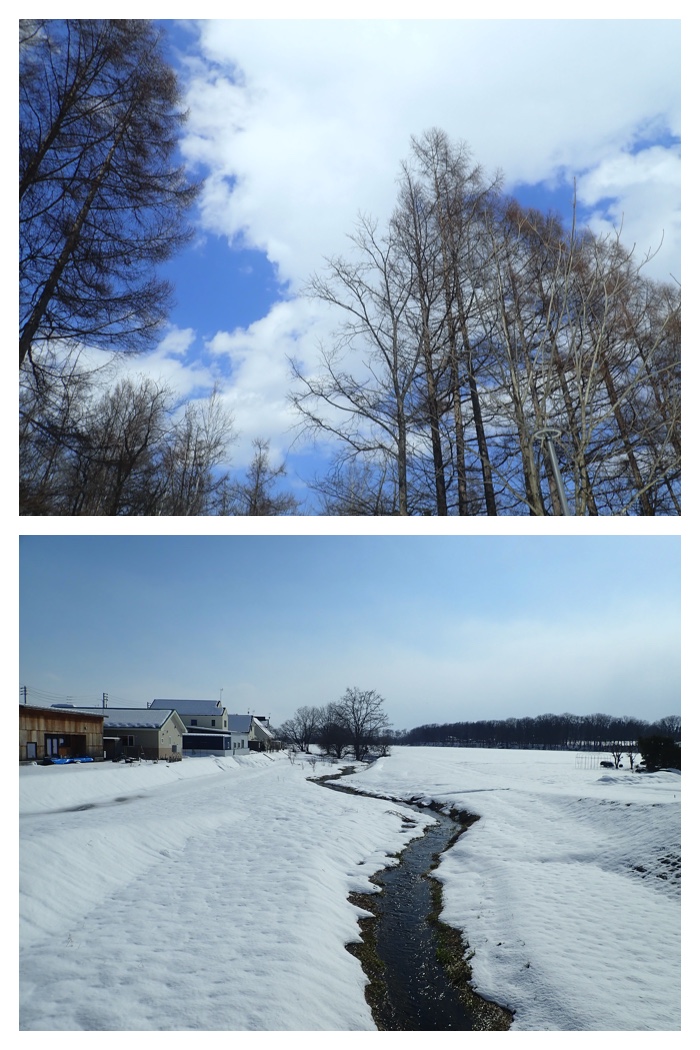Dokayuki_230327_16