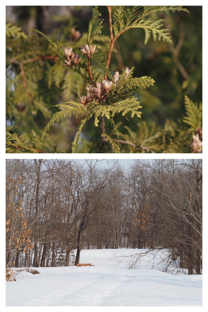 Greenpark_230308_1