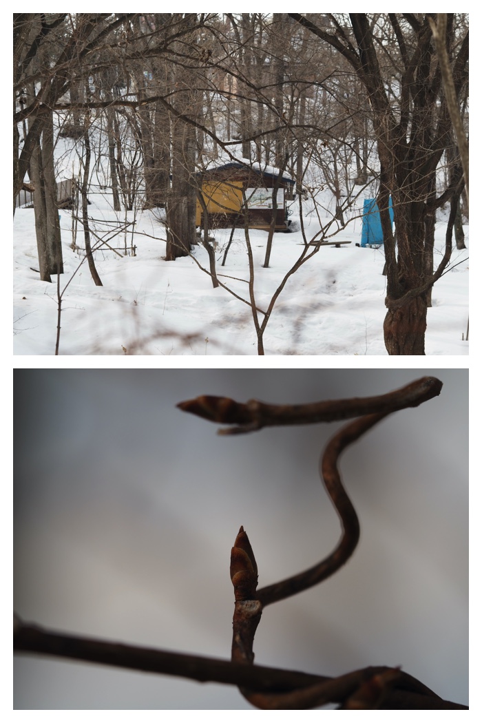 Greenpark_230308_13