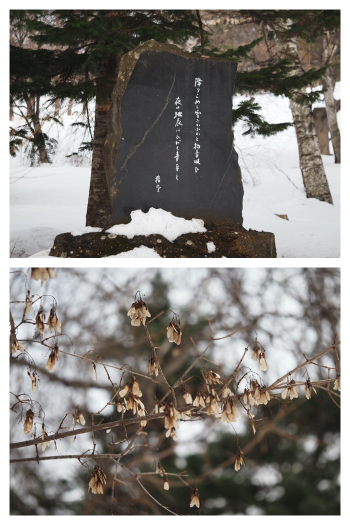 Greenpark_230308_17