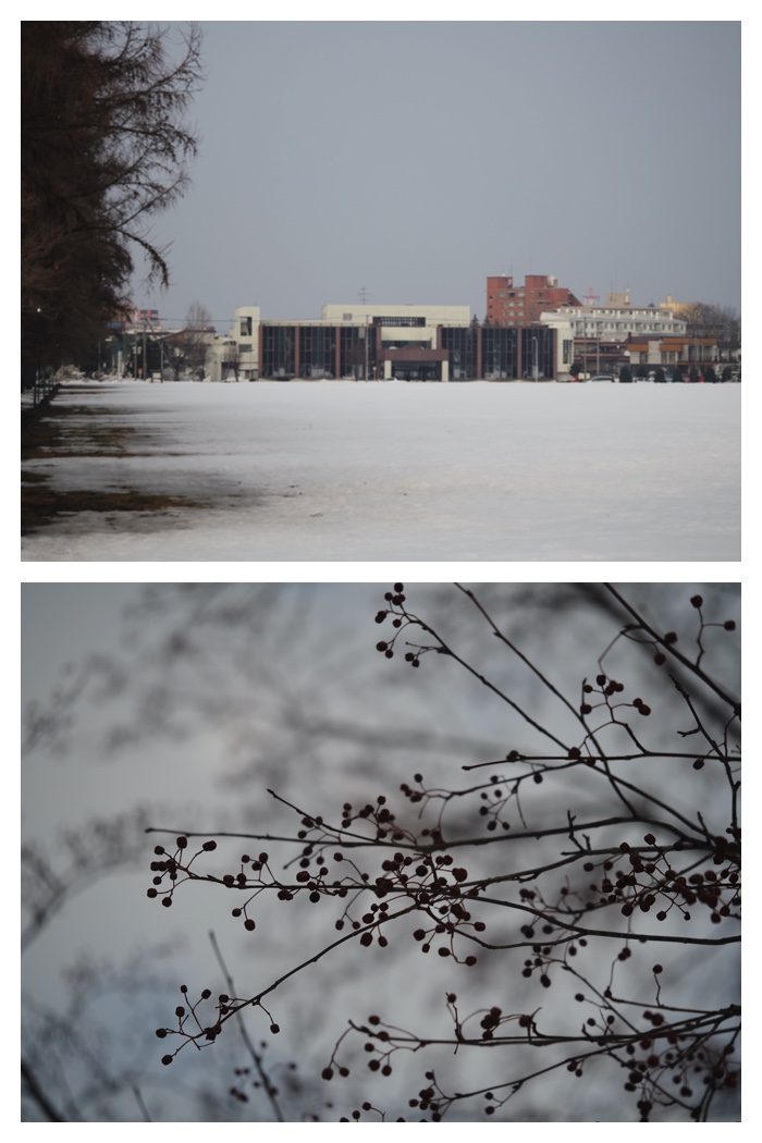 Greenpark_230308_18