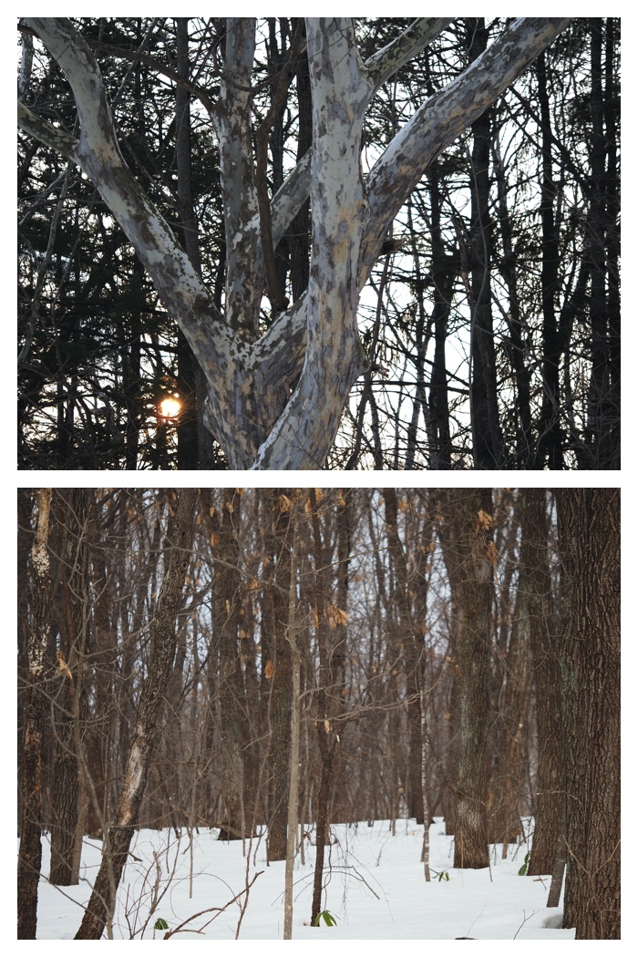 Greenpark_230308_22