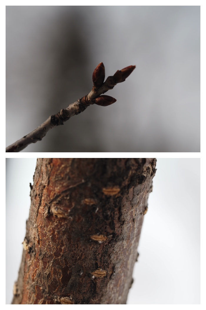Greenpark_230308_4