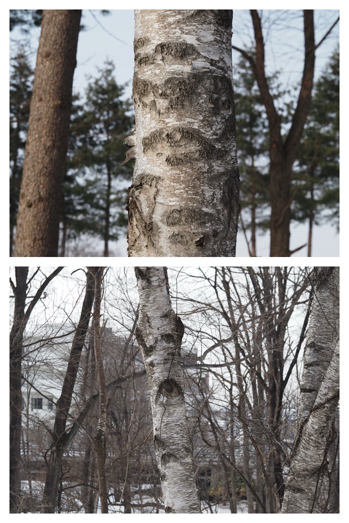 Greenpark_230308_5