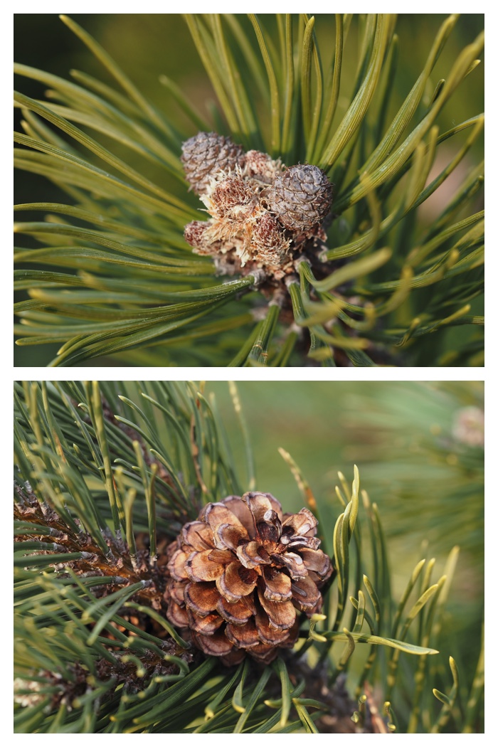 Greenpark_230308_9
