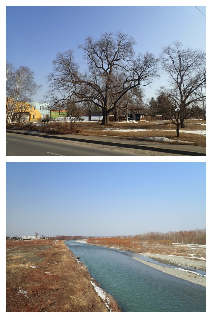 Hasshou_230322_1