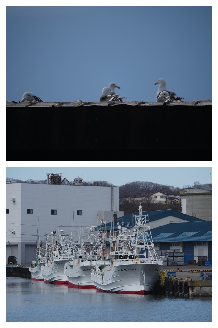 Hiroo_230321_11