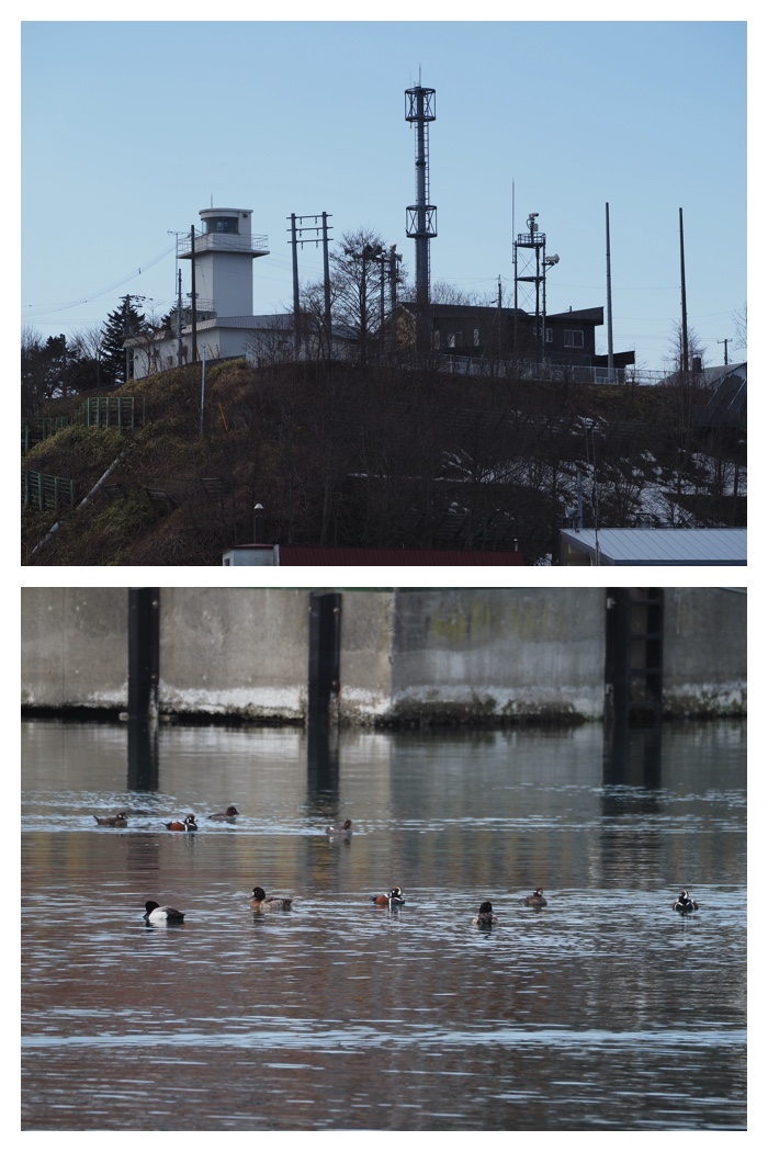 Hiroo_230321_12
