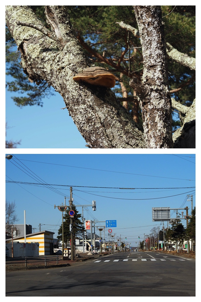 Hiroo_230321_27