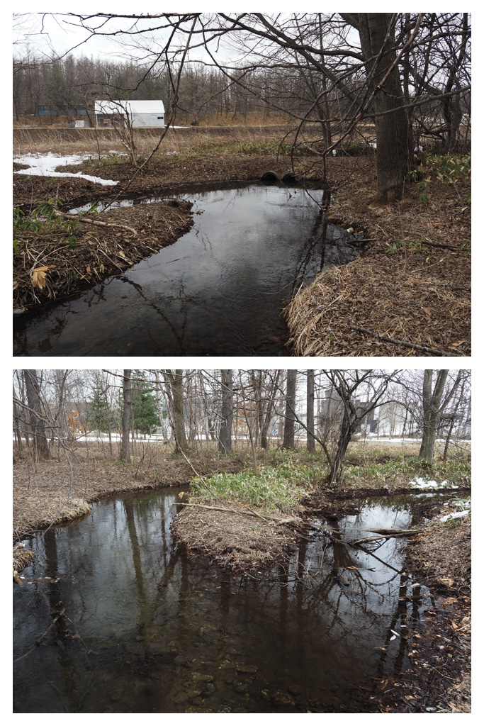 Kikanko_river_230326_1