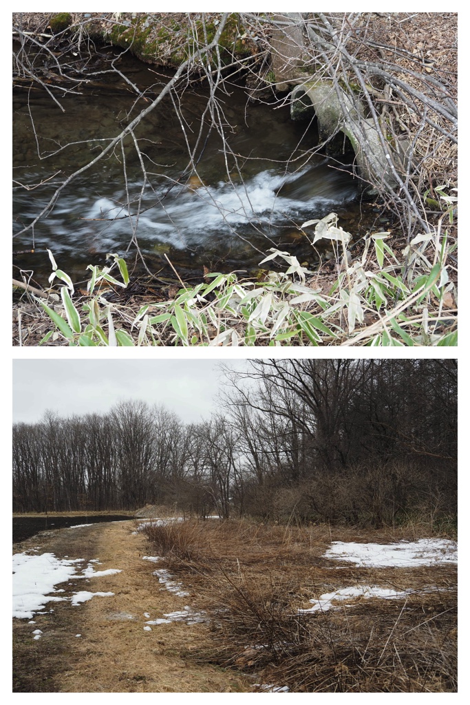 Kikanko_river_230326_2