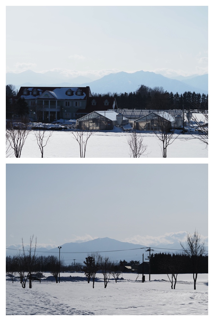Morinoyama_230306_6