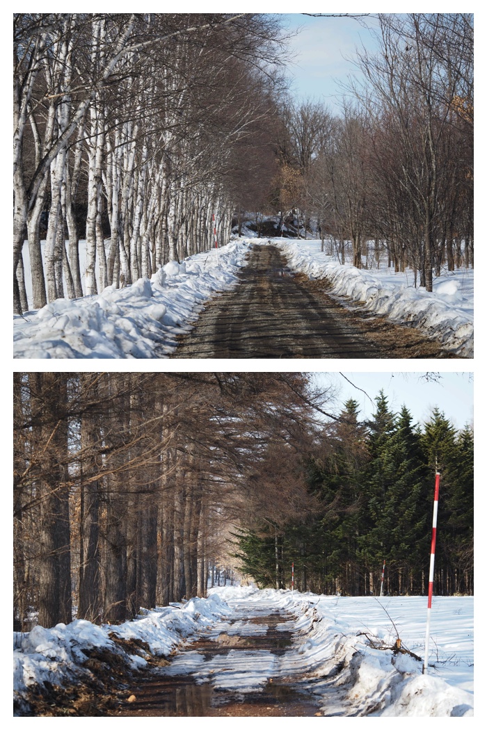 Seikyou_230309_2