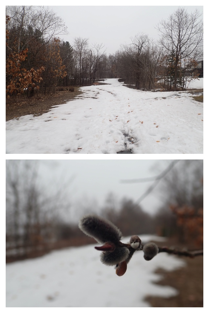 Snow_melt_230323_2