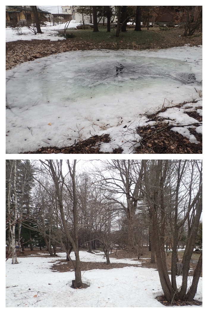 Snow_melt_230323_8