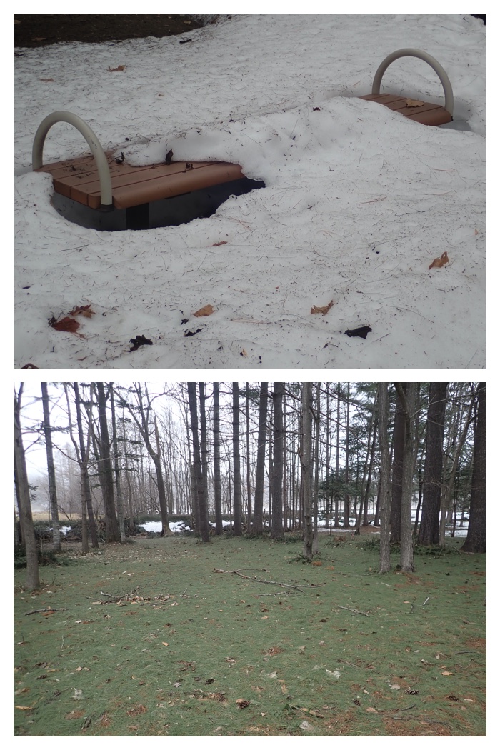 Snow_melt_230323_9