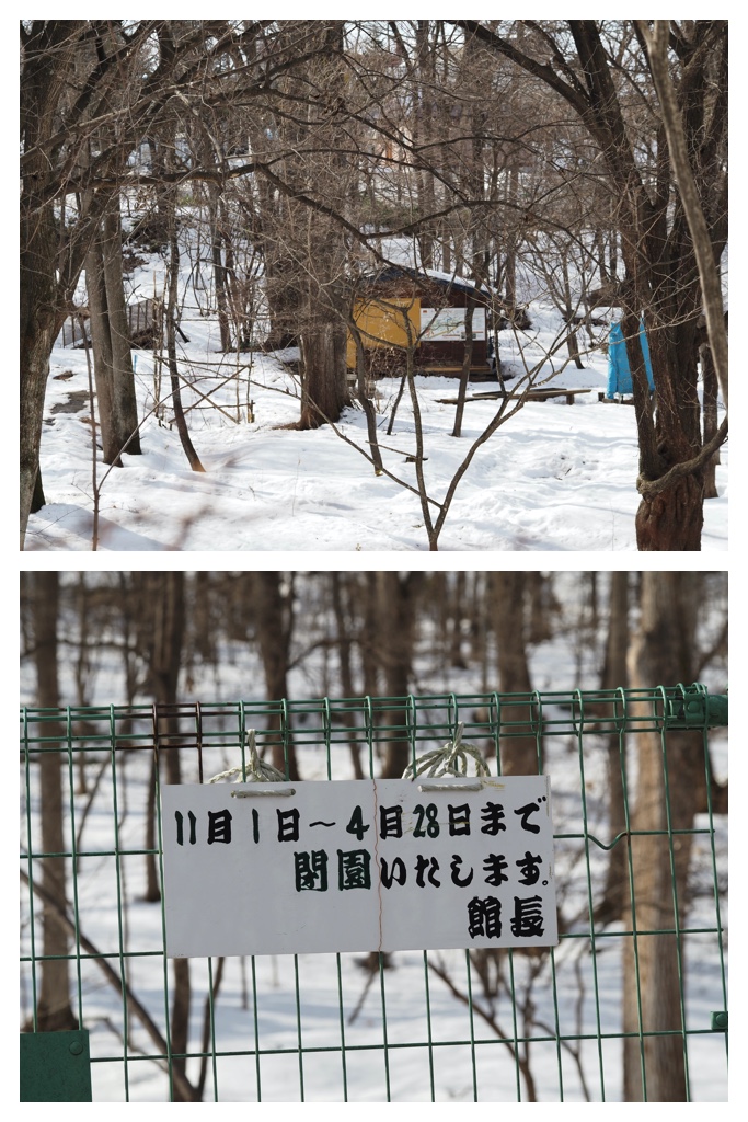 Winter_buds_230314_7