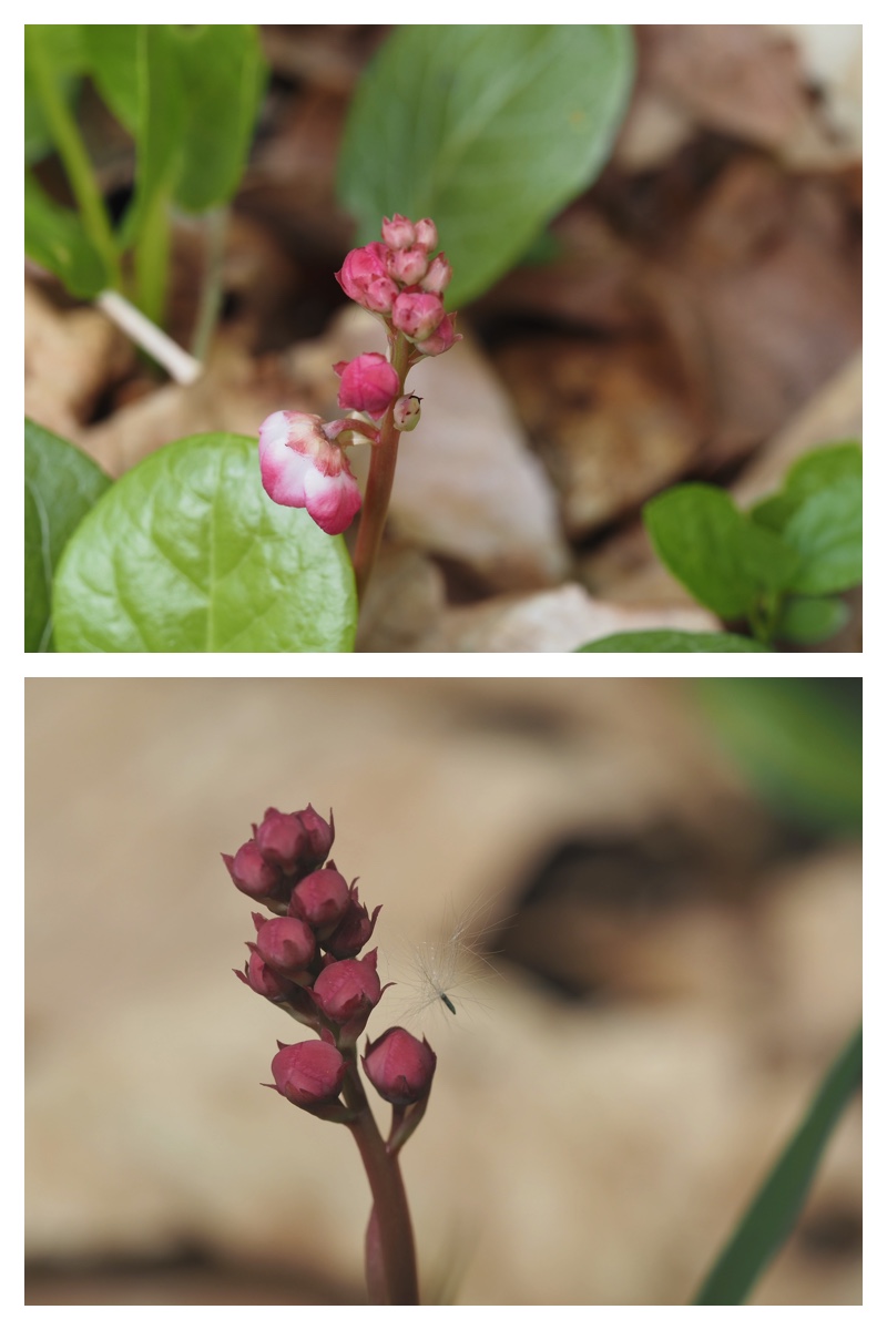 Chou_230514_12