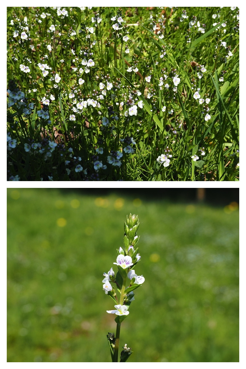 Chou_230514_9