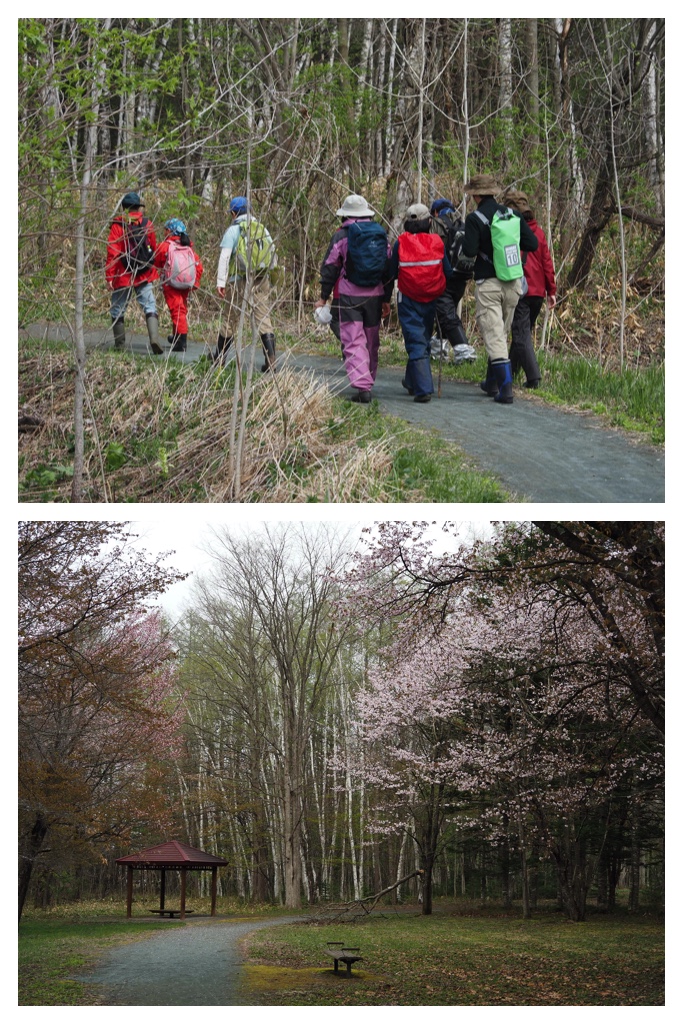 Forest-hike_230430_36