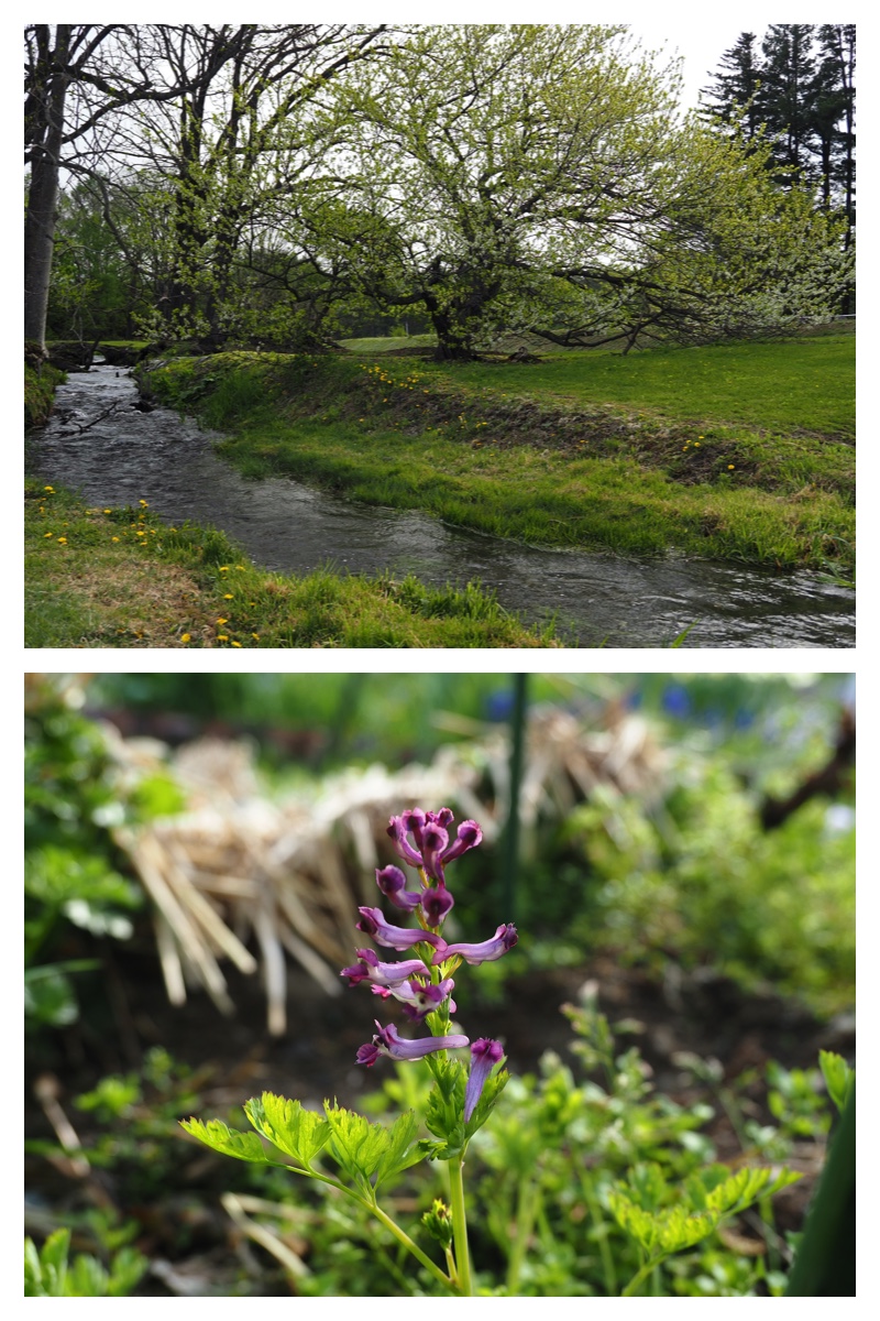 Manabe_230512_17