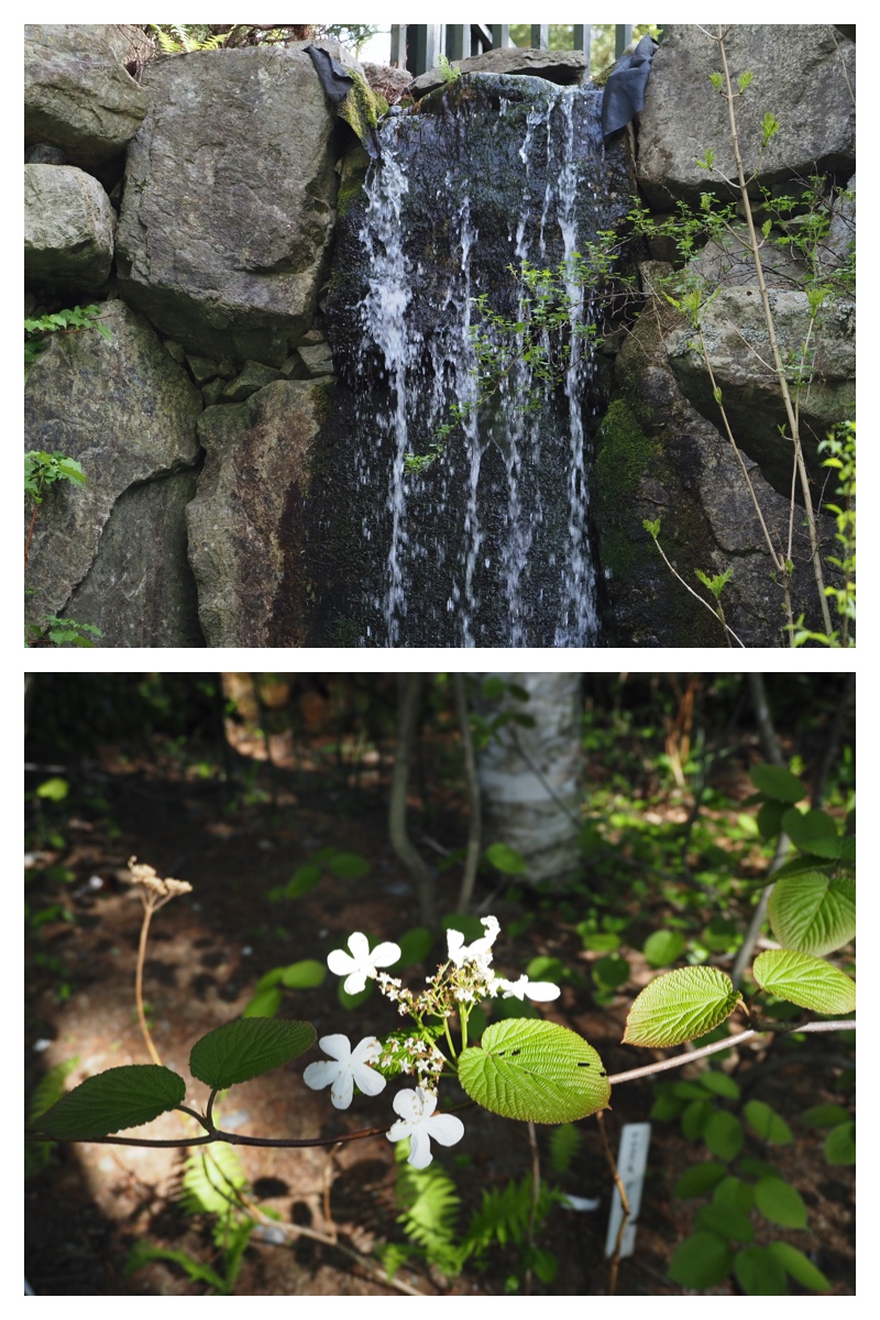 Manabe_230512_5