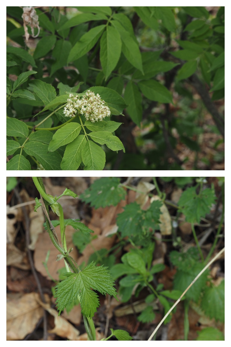 Noukou-Urikai_230516_16