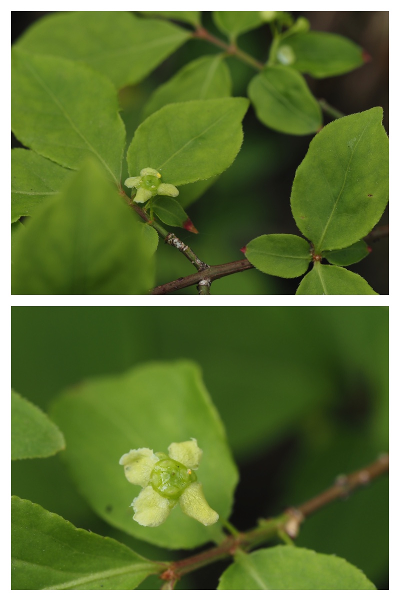 Noukou-Urikai_230516_9