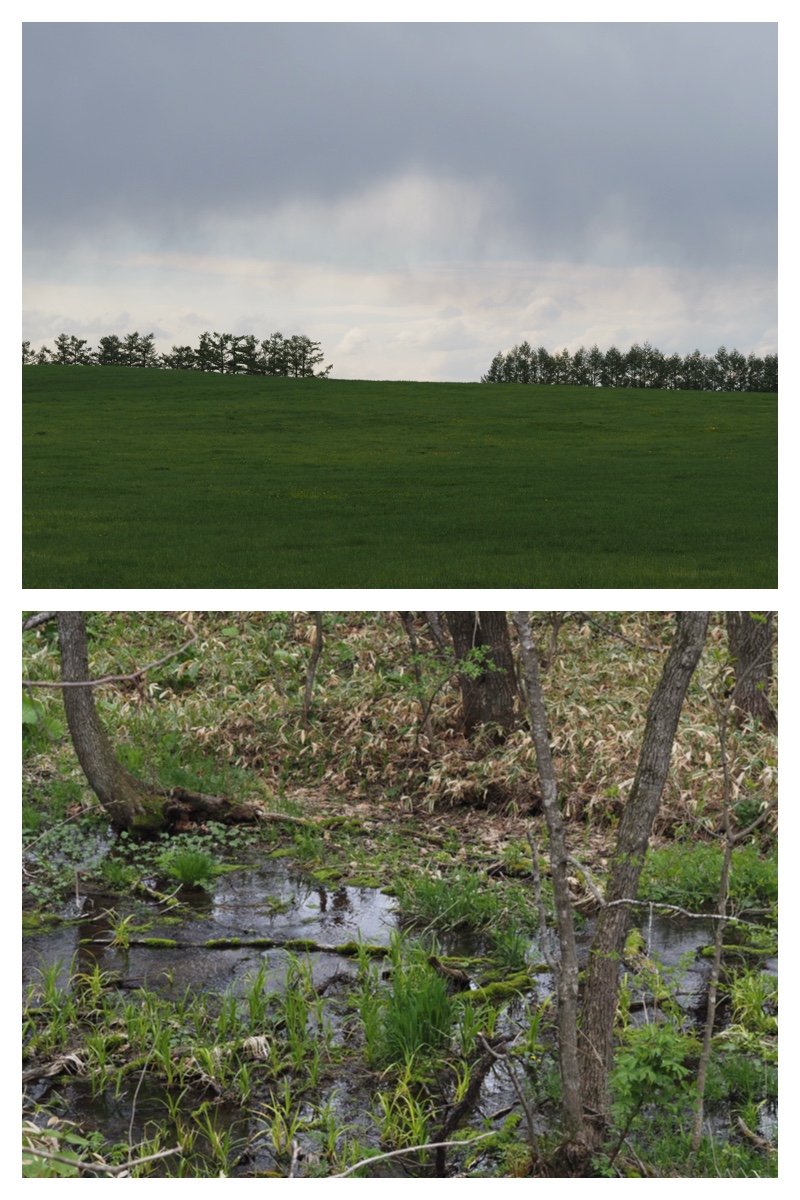 Urikai-west_230510_23