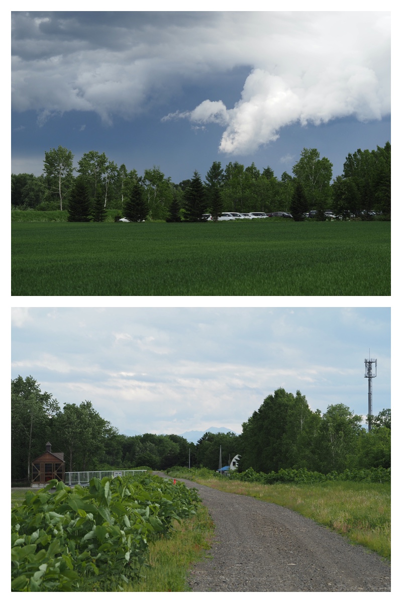 Walking_230530_12