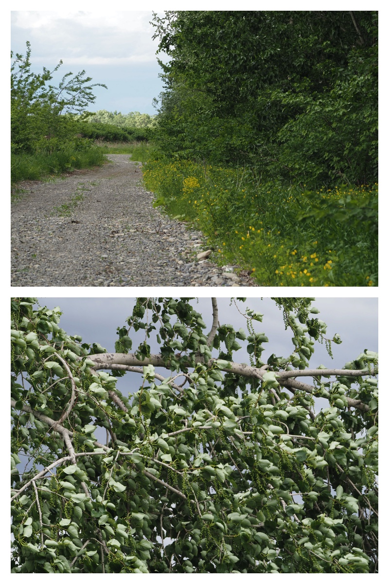 Walking_230530_14