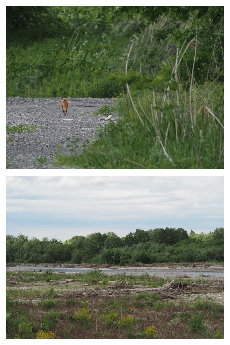 Walking_230530_16