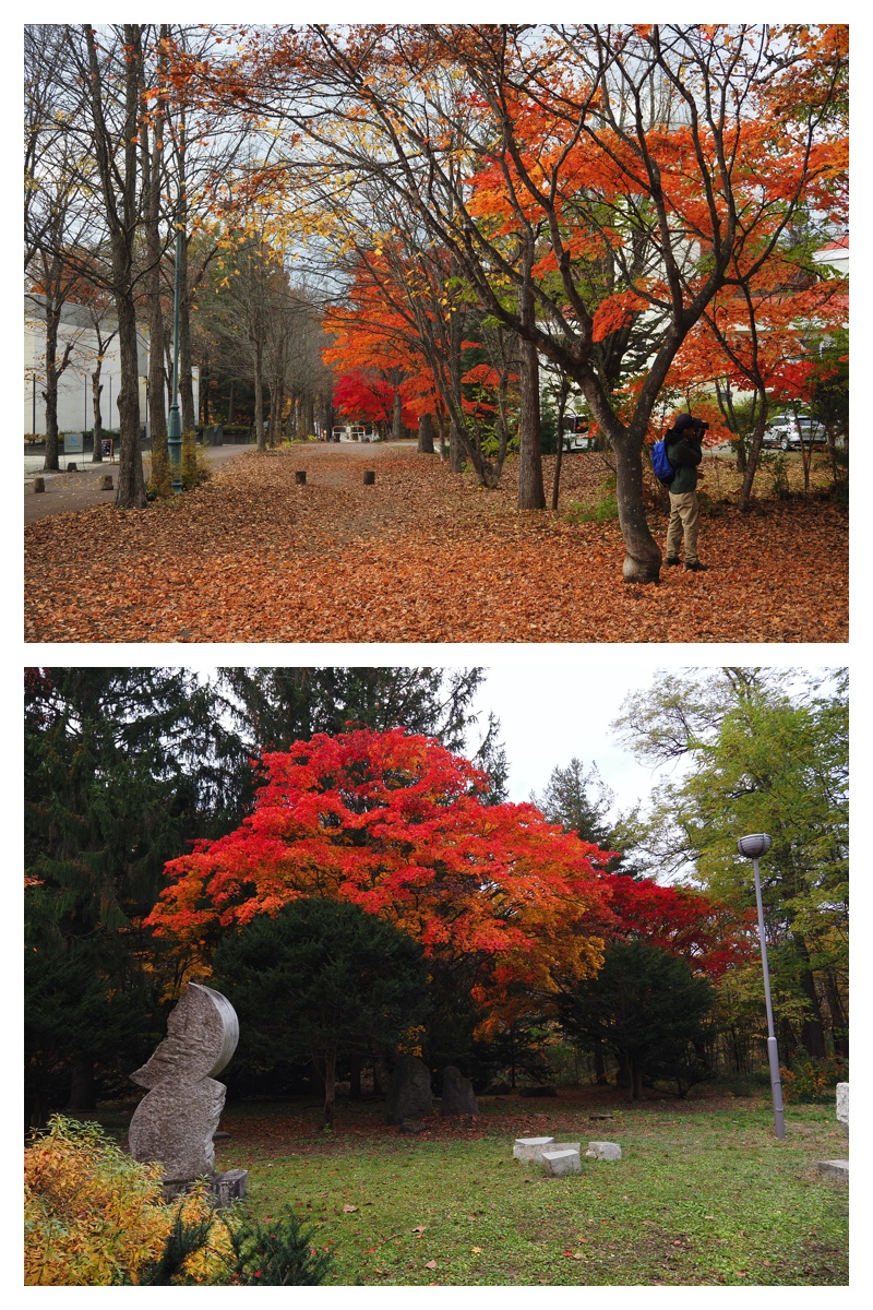 231101_Greenpark_10