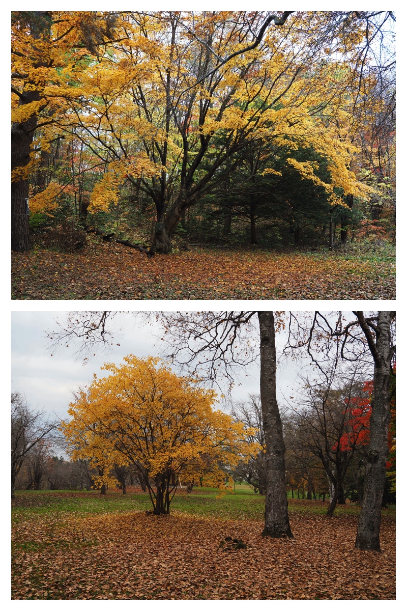 231101_Greenpark_13