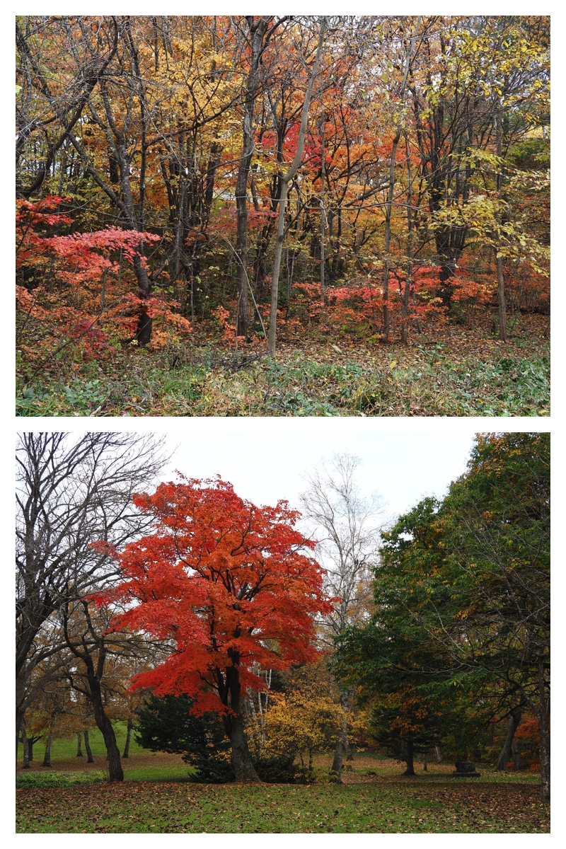 231101_Greenpark_14