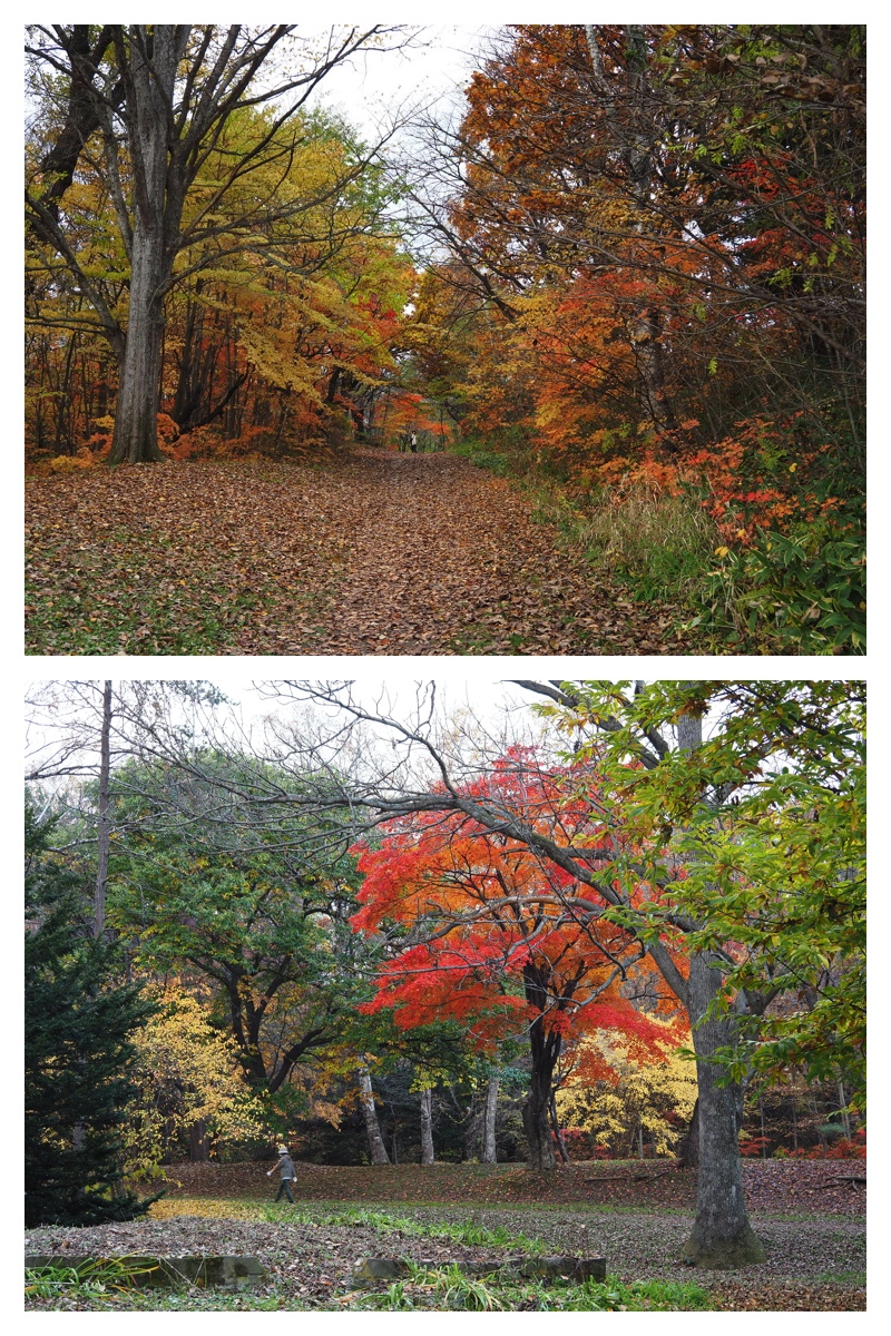 231101_Greenpark_15