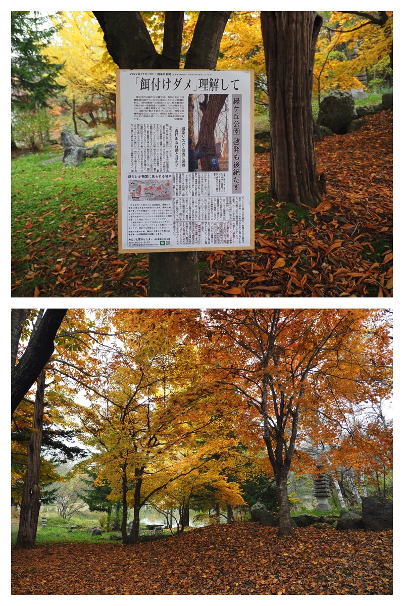 231101_Greenpark_7